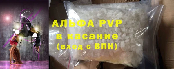сатива Вяземский