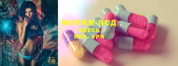 сатива Вяземский