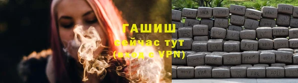 сатива Вяземский