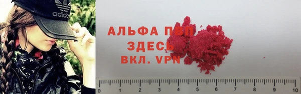 сатива Вяземский