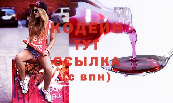 шишки Вязники