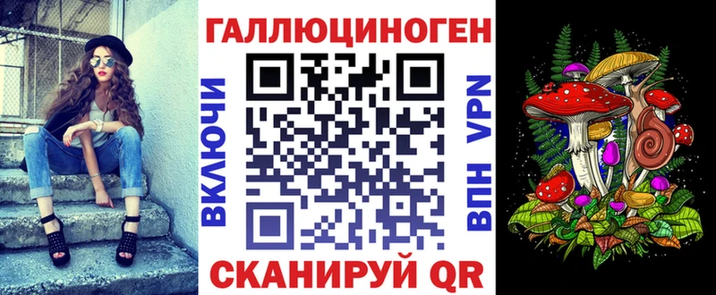 Купить где  Боровск  Псилоцибиновые грибы Psilocybe 